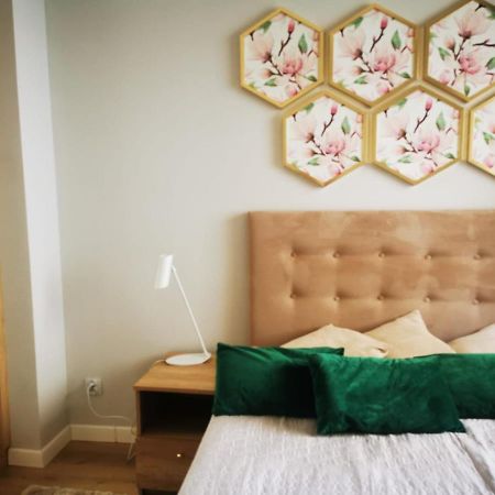 Margaret Apartament ชวีโนวิชแจ ภายนอก รูปภาพ