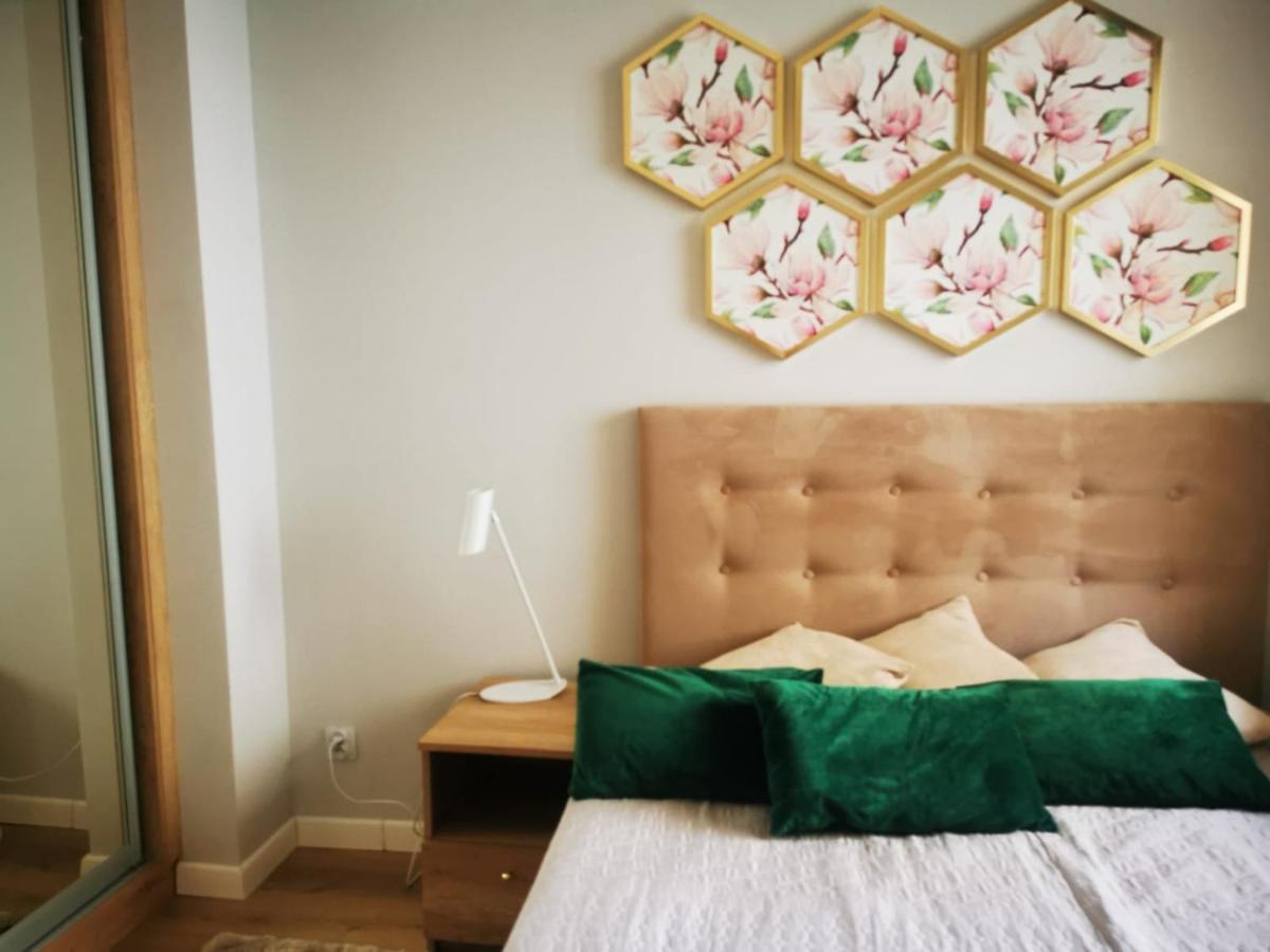 Margaret Apartament ชวีโนวิชแจ ภายนอก รูปภาพ